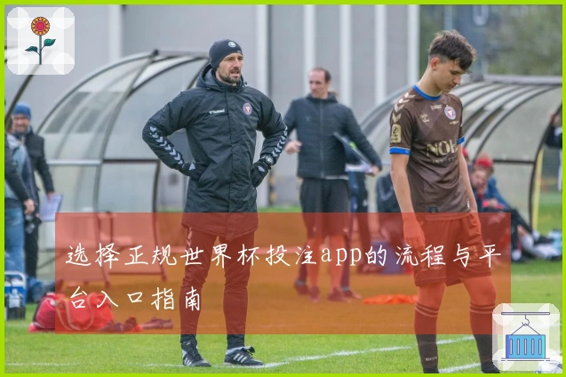 选择正规世界杯投注app的流程与平台入口指南