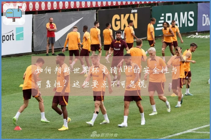 如何判断世界杯竞猜APP的安全性与可靠性？这些要点不可忽视