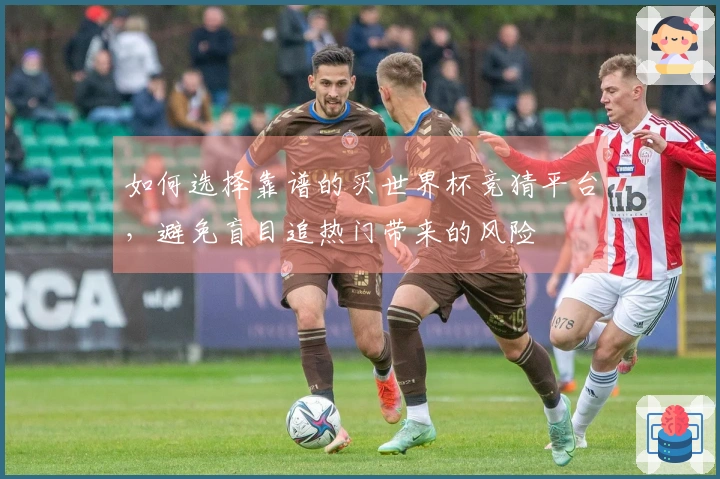 如何选择靠谱的买世界杯竞猜平台，避免盲目追热门带来的风险