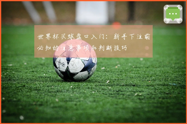 世界杯买球盘口入门：新手下注前必知的注意事项和判断技巧