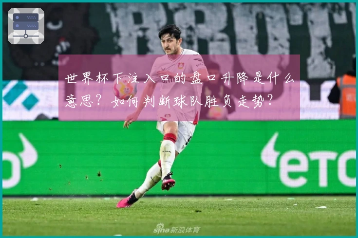 世界杯下注入口的盘口升降是什么意思？如何判断球队胜负走势？