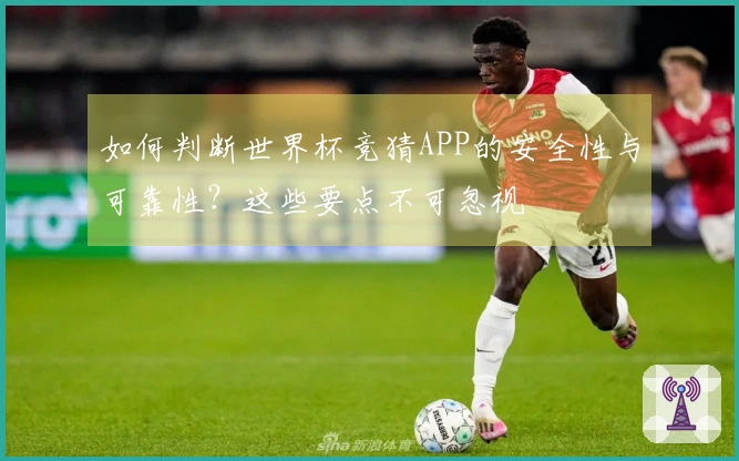 如何判断世界杯竞猜APP的安全性与可靠性？这些要点不可忽视